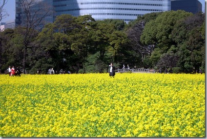 DSCN8786