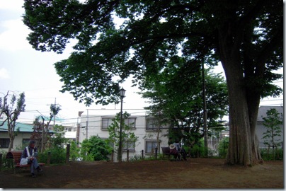DSCN0231